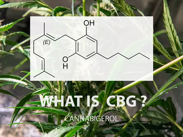 Exploring Cannabigerol (CBG): The Mother of All Cannabinoids