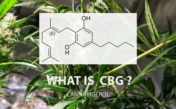 Exploring Cannabigerol (CBG): The Mother of All Cannabinoids