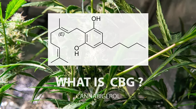 Exploring Cannabigerol (CBG): The Mother of All Cannabinoids