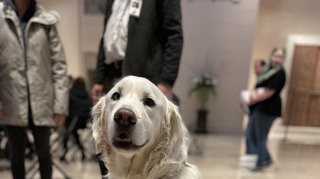 CHAMP Assistance Dogs therapy dog visit