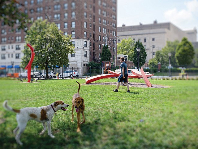 The Ellen Clark Sculpture Park has become a go-to spot for lovers of art and dogs.