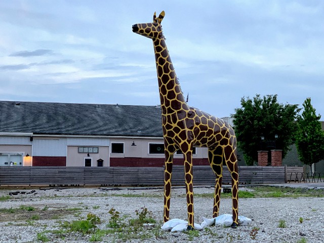 Peaches the giraffe, before the kidnapping.