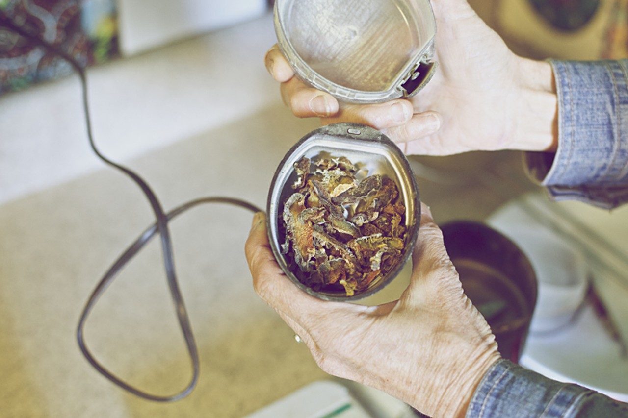 Once the correct weight of peyote is measured, the dried peyote is put into a coffee grinder.