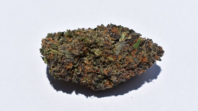 Heya's Runtz strain came primarily in the form of one enormous bud that comprised most of the eighth we purchased.