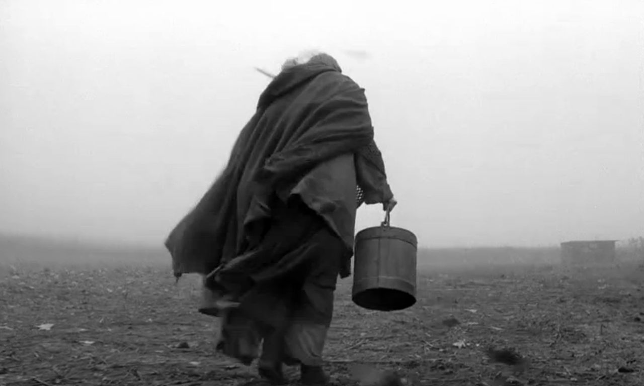 8. The Turin Horse (Bela Tarr) &hellip; 127 points, 17 mentions