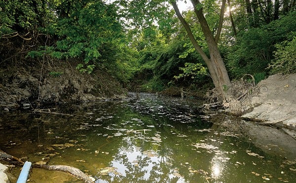 Coldwater Creek runs by the St. Louis airport and through Florissant and Hazelwood before flowing into the Missouri River. The creek is contaminated by nuclear waste left over from the effort to build the first atomic bomb during World War II.