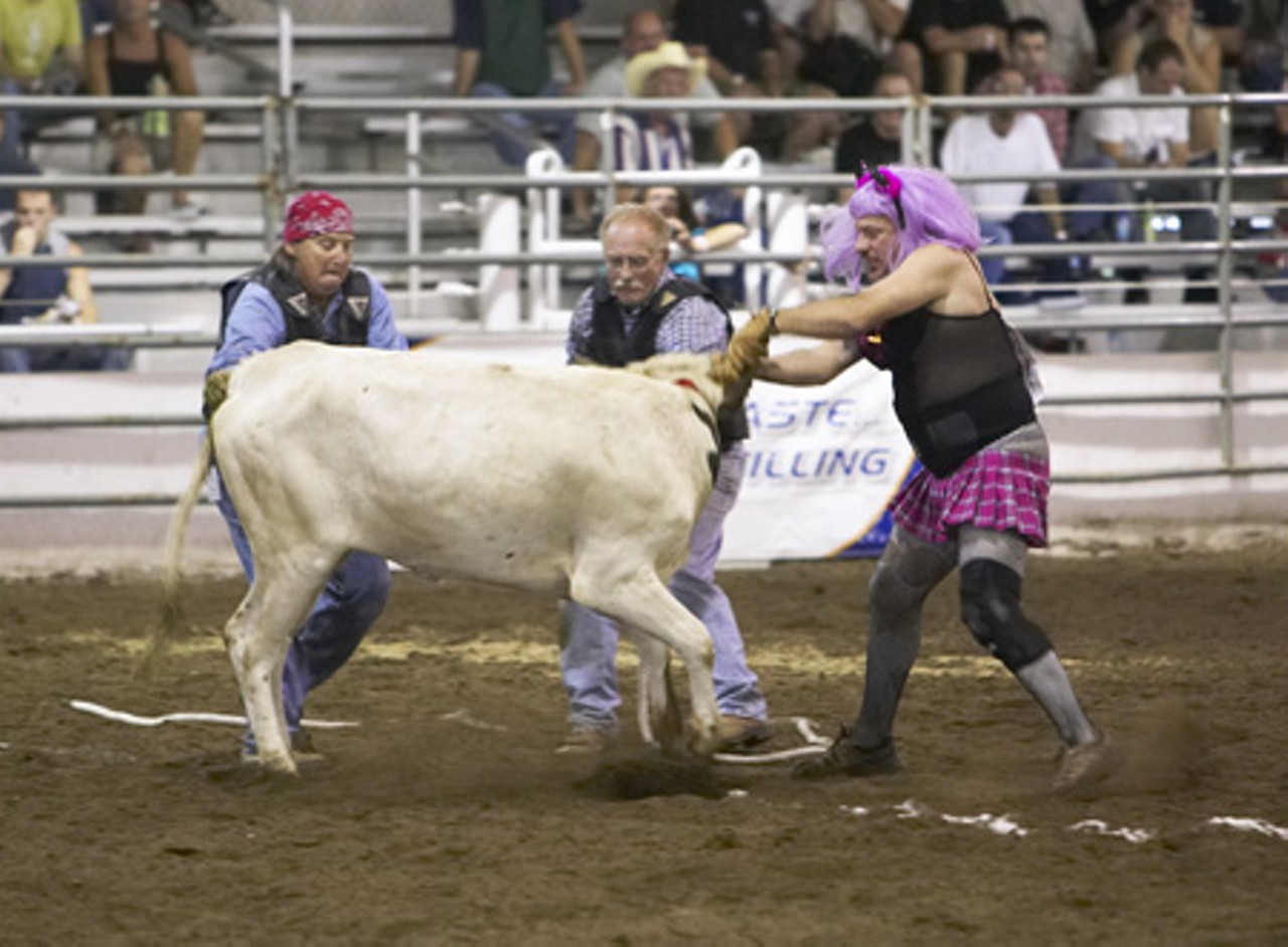 During the "Wild Drag Race," two people restrain a steer while a third person in drag attempts to mount the steer. Kinda like an average Texas Saturday night.
