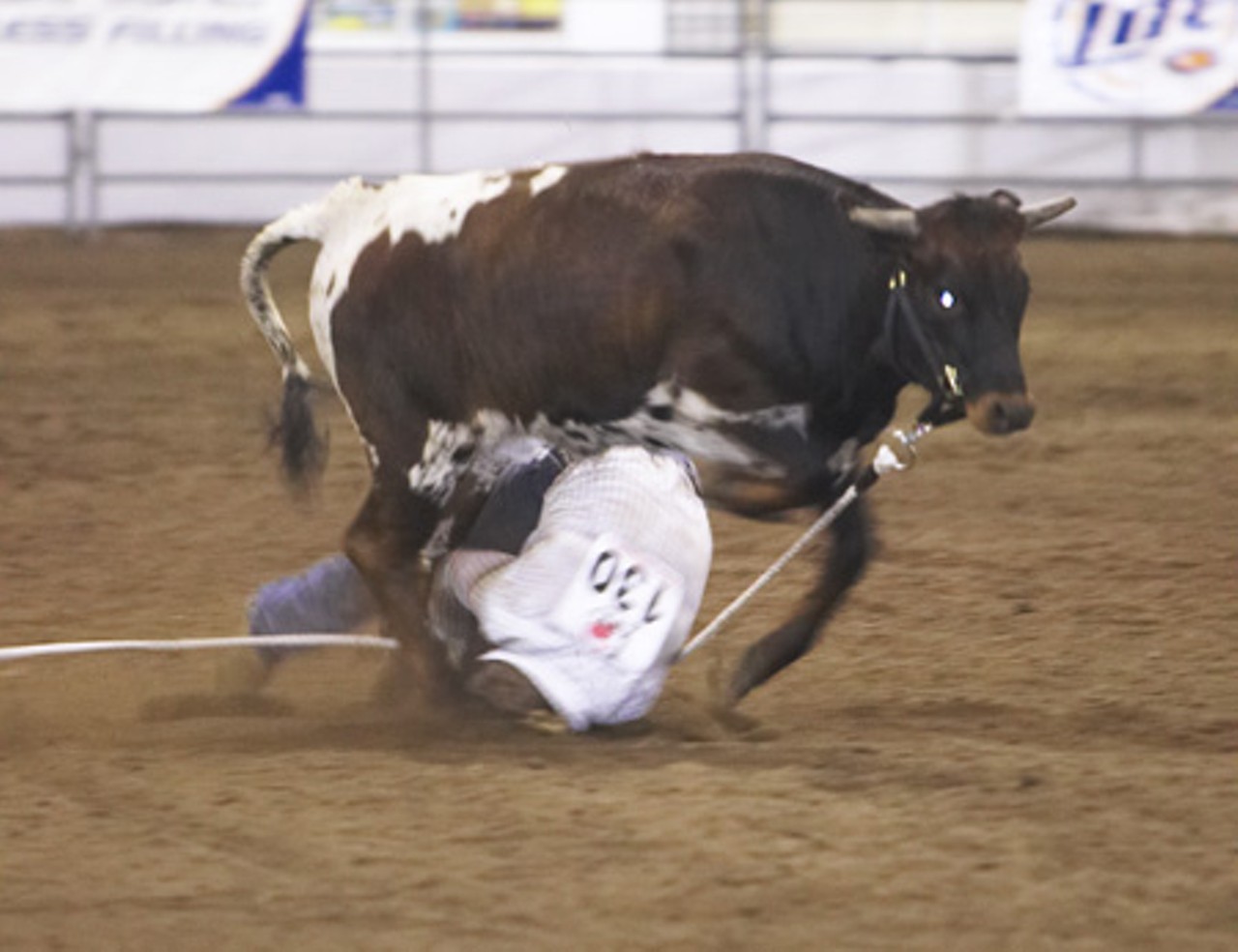 Because, sometimes the steer mounts you.