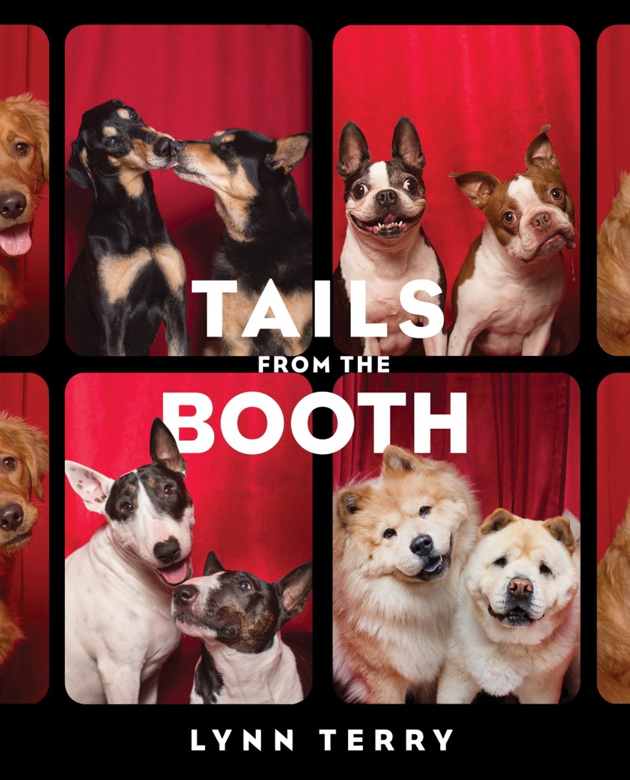 Tails From the Booth, by St. Louisan Lynn Terry, was released October 20 by Gallery Books.