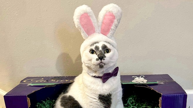 Rorschach makes a great bunny.