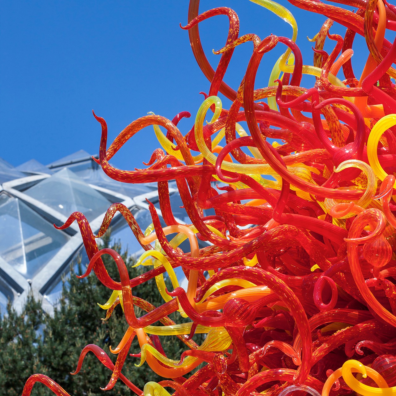 Dale Chihuly
Summer Sun (detail), 2010
12½ x 12½ x 12½'
Denver Botanic Gardens, installed 2014
© 2022 Chihuly Studio. All rights reserved.