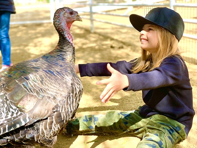 The Gentle Barn Invites You to Cuddle a Turkey This Thanksgiving