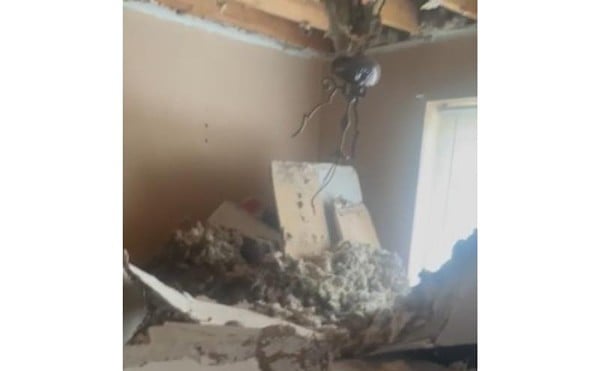 First the ceiling fell. Then landlord C. Quang Tran began the eviction process.