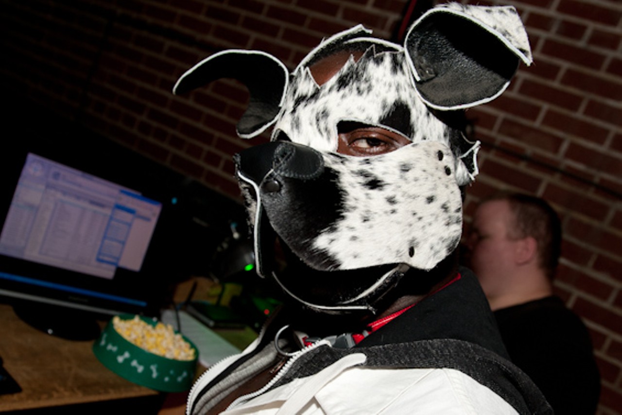 NSFW: 2015 International Puppy Contest at Bad Dog Bar & Grill