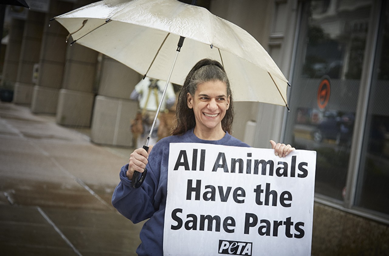 "All Animals Have the Same Parts."