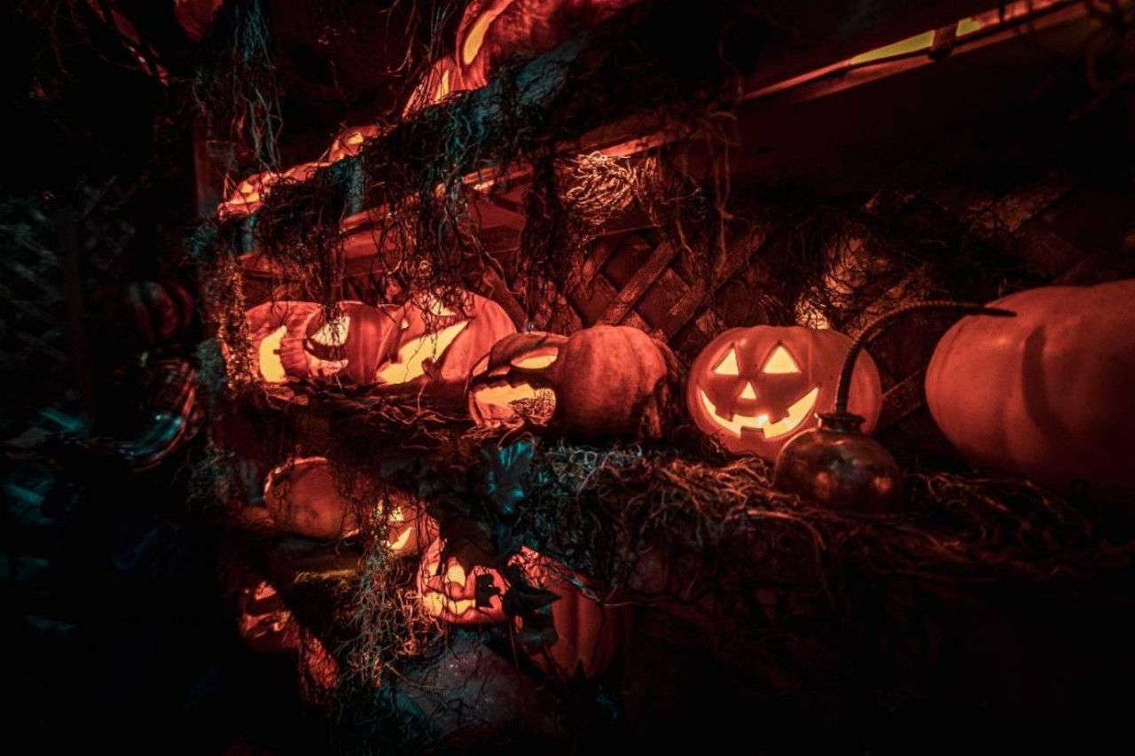 Creepyworld Scream Park in Fenton
Visit  "America's biggest Haunted Screampark" includes a haunted hayride, haunted houses and even a haunted midway. It opens on September 30, 2022.
Find out more here.
Photo credit: Scarefest