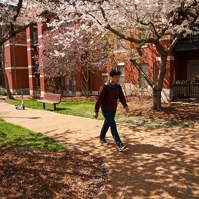 Saint Louis University Steven Lum walks to class through a flowery corridor.