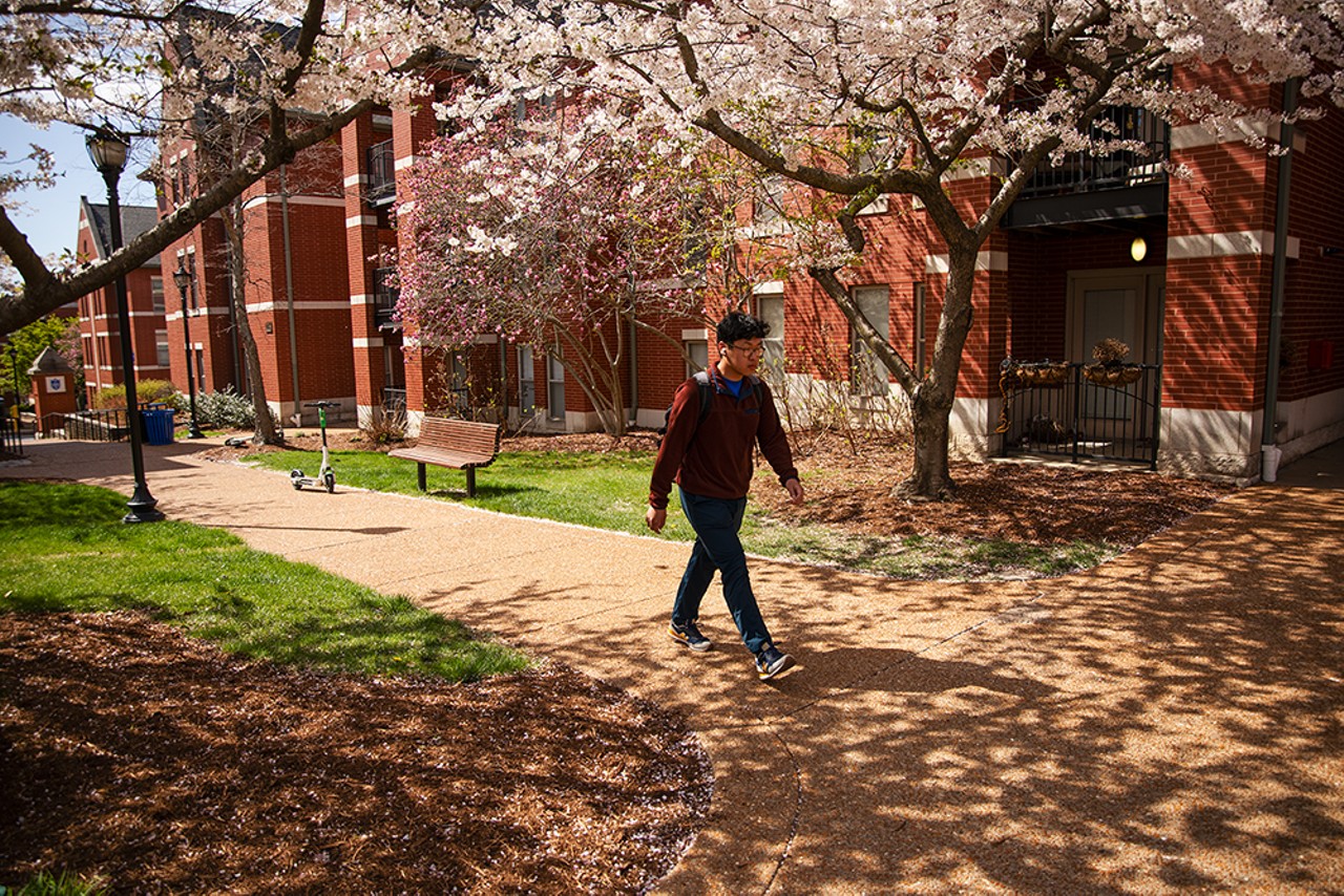 Saint Louis University Steven Lum walks to class through a flowery corridor.