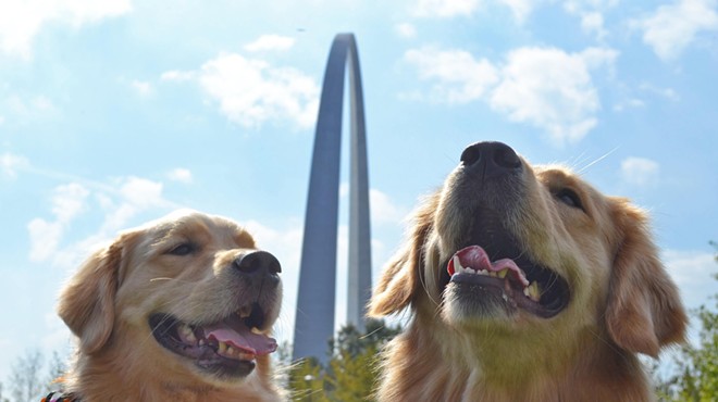 Bring yours pups to St. Louis' Gateway Arch National Park on Saturday, April 20, for Arch Bark.