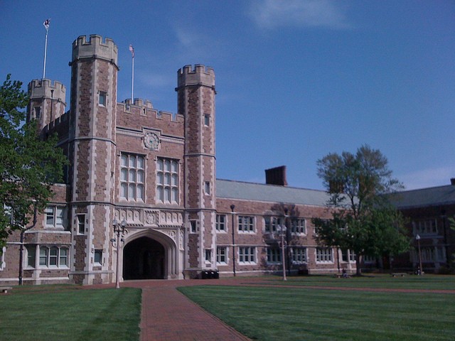 Washington University's quad will be the site of a protest this weekend.