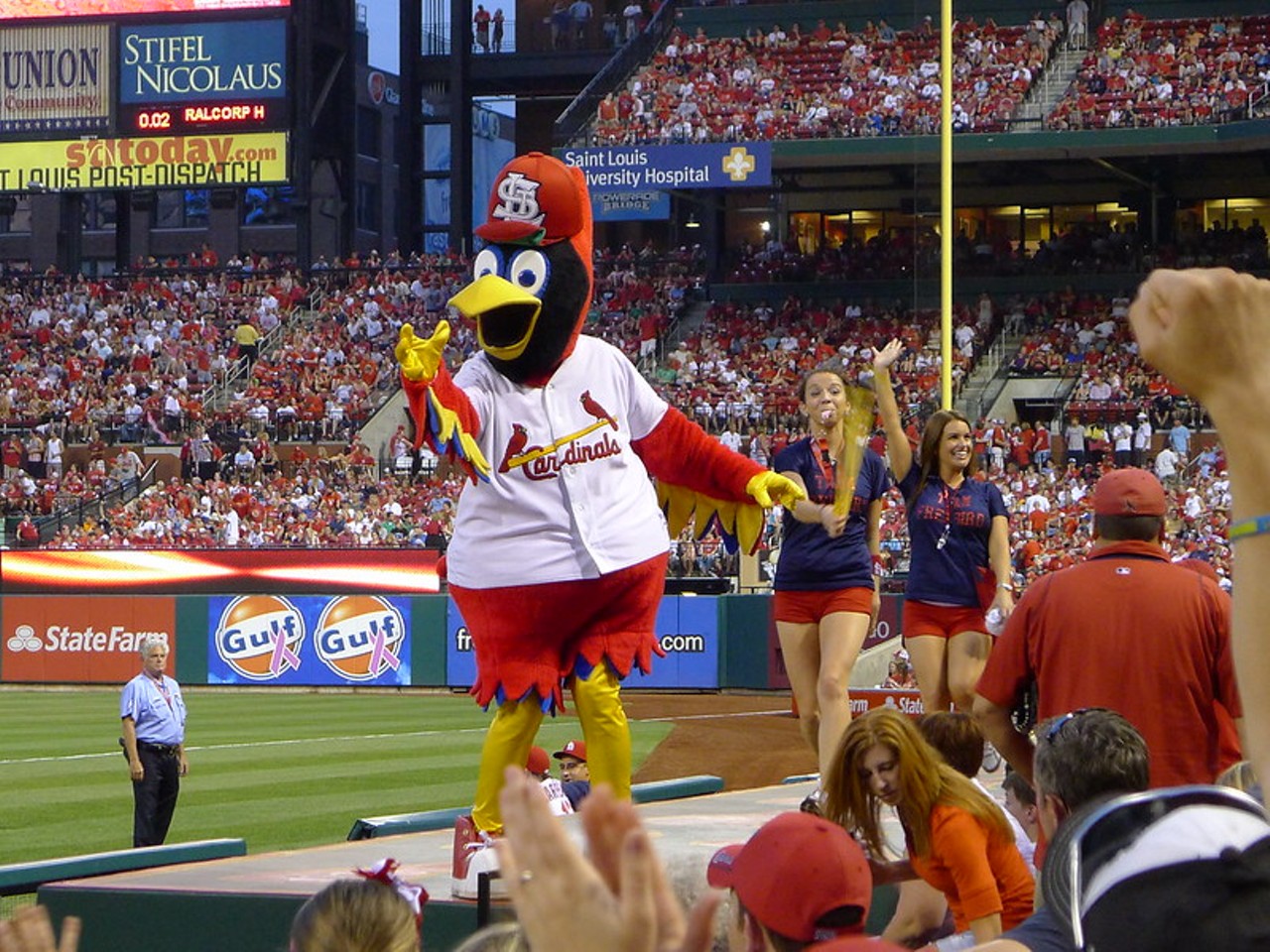 You&#146;ve dedicated your life to the Cardinals or the Blues.  
When you have accepted either Fredbird or Louie as your Lord and Savior, that is the mark of a true St. Louisan.  
Photo credit: Flickr / Jeff Kopp