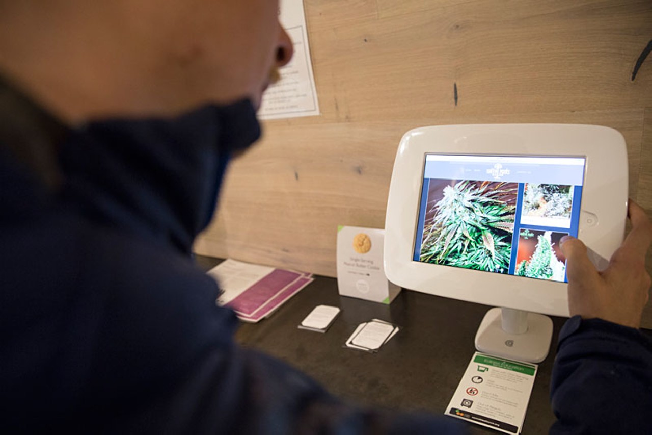 Browsing selections on a touchscreen at Native Roots medicinal/recreational dispensary.