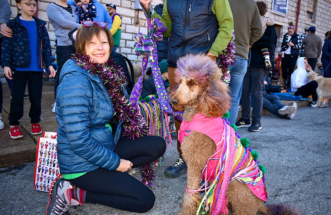 The Purina Pet Parade Brought Adorable Pets to Soulard [PHOTOS]