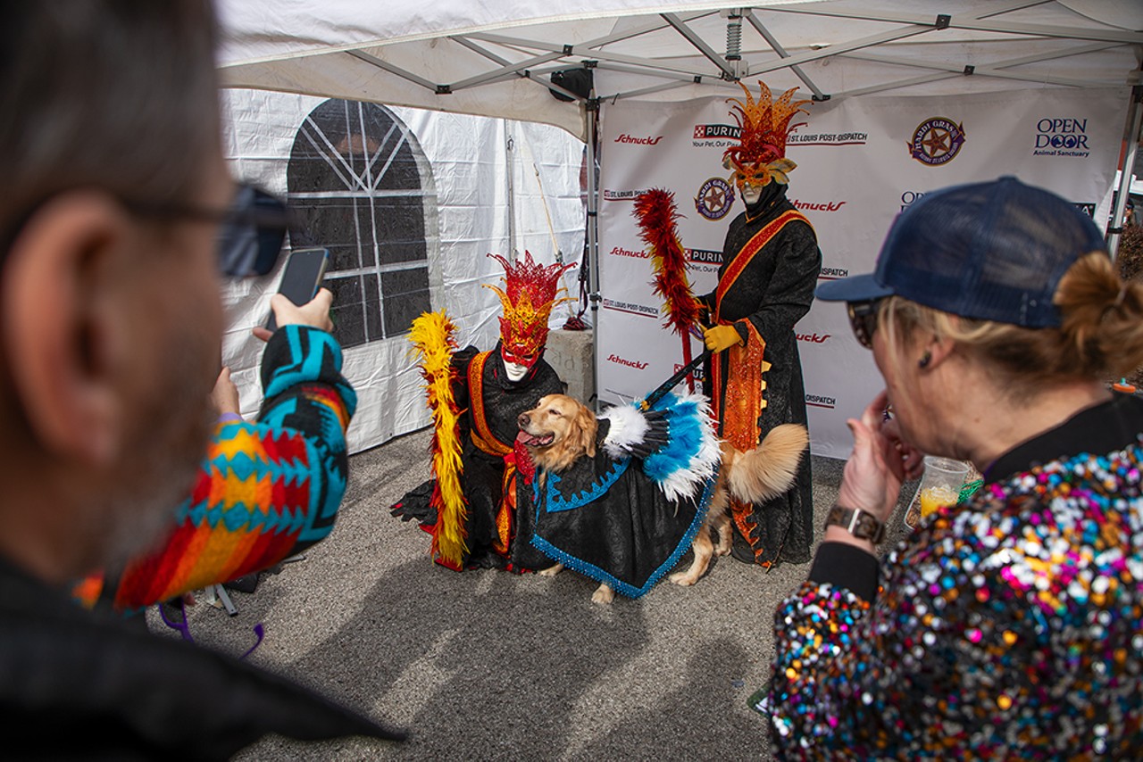 The Purina Pet Parade Brought Dog Lovers to Soulard on Sunday