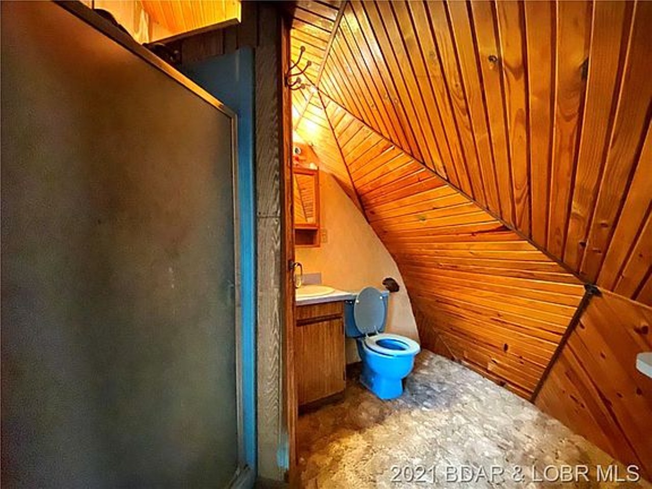 This Geodesic Dome Near the Lake of the Ozarks Has a Camouflage Bathroom [PHOTOS]