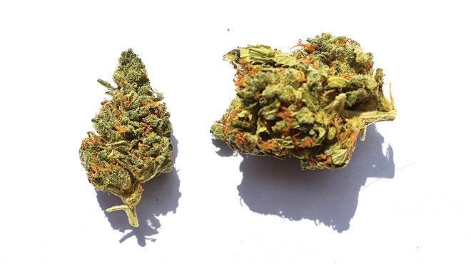 CB Dutch is a low-THC, high-CBD option for those who'd prefer to stay grounded when they smoke.
