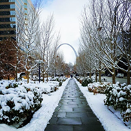St. Louis, You Look Great When You're Snowy