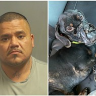 Suspect in Horrific JeffCo Abuse Case Thought Dog Wore Spy Camera