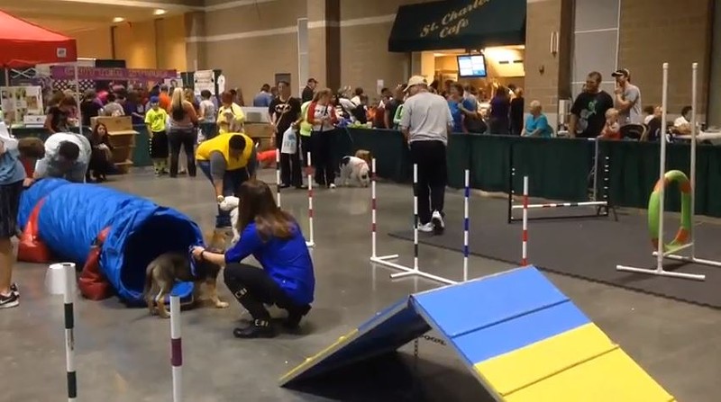 The St. Charles Convention Center has hosted the St. Louis Pet Expo every year since 2009. That streak ends this year. - via YouTube