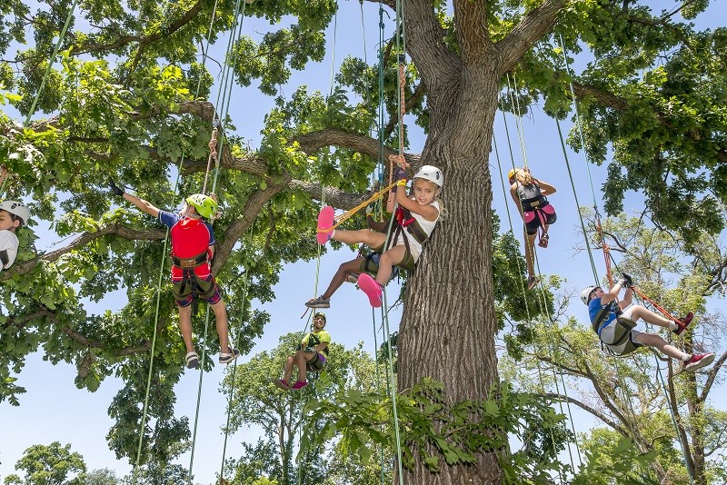 You don't have to climb the trees, but you can't stay inside all summer. - COURTESY OF GREAT RIVERS GREENWAY