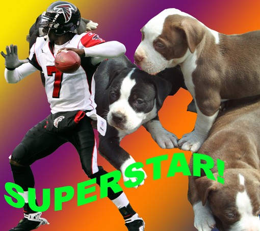 Michael Vick Day: Fun For the Whole Family, Death for Many, Many Animals