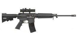 This is the kind of gun used to kill 27 in Newtown - IMAGE VIA