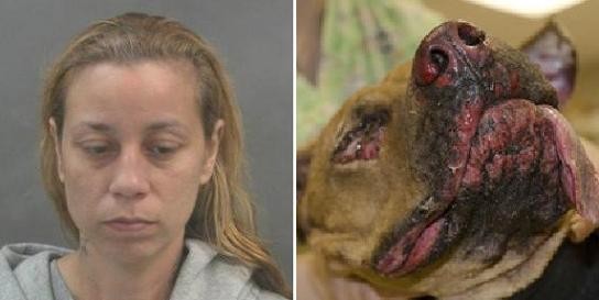 Adrienne Martin bragged on Facebook about burning Brownie, a pit-bull mix that would not survive its injuries.