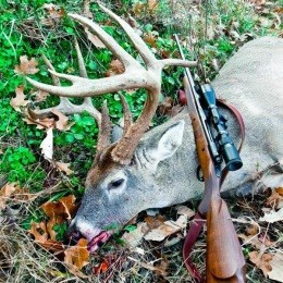 A monster buck killed in Missouri in 2012. - Image via