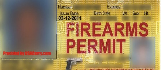 Guns: GOP Wants Missouri to Destroy Personal Documents Tied to Concealed Carry Permits