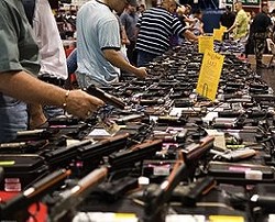 St. Louis Firm May Sue Over Missouri Bill to Block Feds' Gun Laws, Says It's Unconstitutional