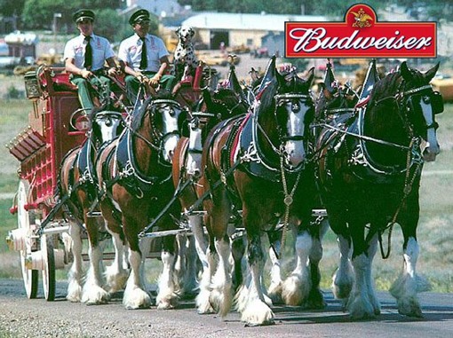 Clydesdales Elected to Madison Avenue Advertising Walk of Fame