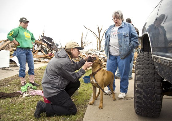 Dr. Julie Brinker, veterinarian at HSMO, checking out a victim of the Joplin tornado in May 2011.