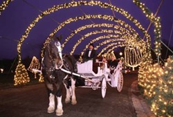 A horse and carriage during Winter Wonderland. - St. Louis County Parks via Facebook