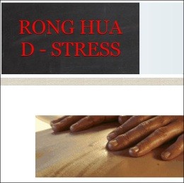 Screen cap of Rong Hua D-Stress' website - Image via