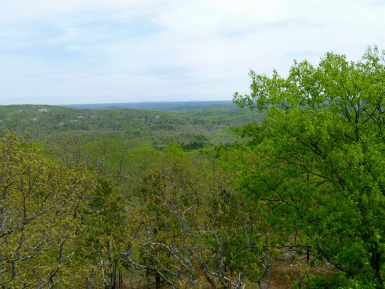 Peck Ranch, as viewed from the top of Mt. Stegall, its highest point. - Aimee Levitt