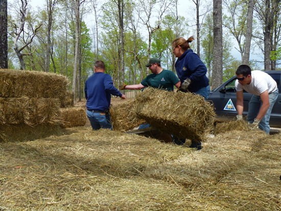 Department of Conservation workers unload hay bales to feed the elk while they live in the holding pen. - Aimee Levitt