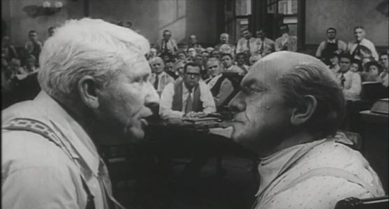 Ever see Inherit the Wind, Todd? If you haven't, here's a spoiler: The politician who denies evolution gets so flustered trying to defend his position that he dies at the end. - image via