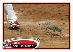 Rally Squirrel, with Skip Schumaker (left) - (c) Topps Inc 2012