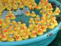 Will there be rubber duckies at the Klan picnic? You bet!