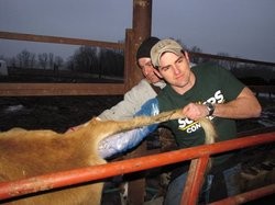 Tommy Sowers: Lessons Learned Traveling Missour-ah, Getting "Shoulder Deep" in a Cow